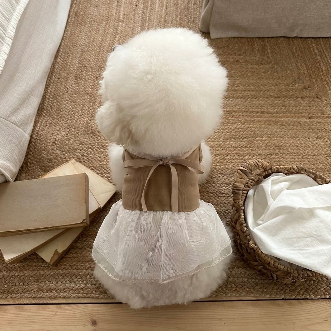 ชุดเดรสสายเดี่ยวลูกไม้สำหรับสั - Lace Teddy Lingerie บทวิจารณ์และราคา